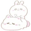 Bunny and cat love (Mov) 7