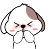 Cute puppy .MOV 5