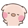 Cute pig 5
