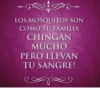 Quotes(Citas)❥ ︎ͫ1 Clásica 17