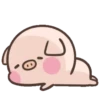 Cute pig 8