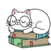 Books 📖 ❥☯︎ͫ 1 🇲🇽 11