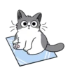 Котенок 10
