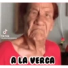 مل TikTok gilbertonavideos A LA VERGA