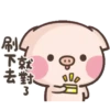 Cute pig 10