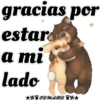 Amorosos 14