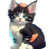 Gatitos💞1🇵🇪Clásica 15