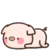 Cute pig 11