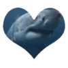Corazones Movimiento 17