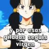 Dragon Ball War 15