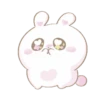 Bunny and cat love (Mov) 18