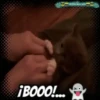 Clásicos 1 Movi 18