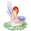 Fairies 13