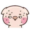 Cute pig 12