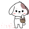 Cute puppy .MOV 16