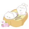 Bunny and cat love (Mov) 19