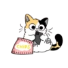 Котенок 14