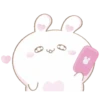 Bunny and cat love (Mov) 20