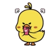  LiTtLe ChIcKs 15