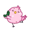 Pájaro lindo 2 MOV. 12