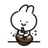 Bunny  Love ᥫ᭡ Mov 16