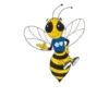 Abejas - 106 Mov.1712 14