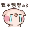 Cute pig 15