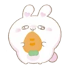 Bunny and cat love (Mov) 22
