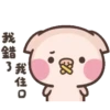 Cute pig 16