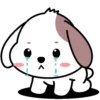 Cute puppy .MOV 24
