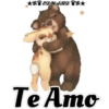 Amorosos 23