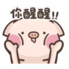 Cute pig 17