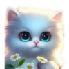 Gatitos💞1🇵🇪Clásica 23