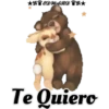 Amorosos 25
