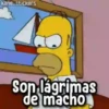 Los Simpsons #1 (Mov) 13