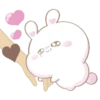 Bunny and cat love (Mov) 25
