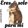 Amorosos 26