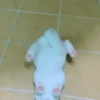 Pets 1 26