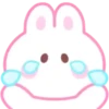 Sweet Rabbit MOV. 25