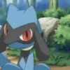 Pokemon 5
