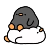 Cute duck 6