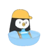 ️ Pingüinos gorra 2   MOV 5