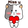 GrAy WhItE CaT 5