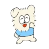 ️Cachorro chaqueta celeste. MOV 7