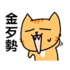 Sinko the Cat: Meow Meow 6