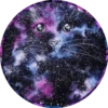 Gatitos⁂1 Movi 7