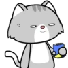 Lovely Grey Cat .MOV 7