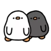 Cute duck 7