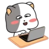GrAy WhItE CaT 6