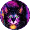 Gatitos⁂1 Movi 11